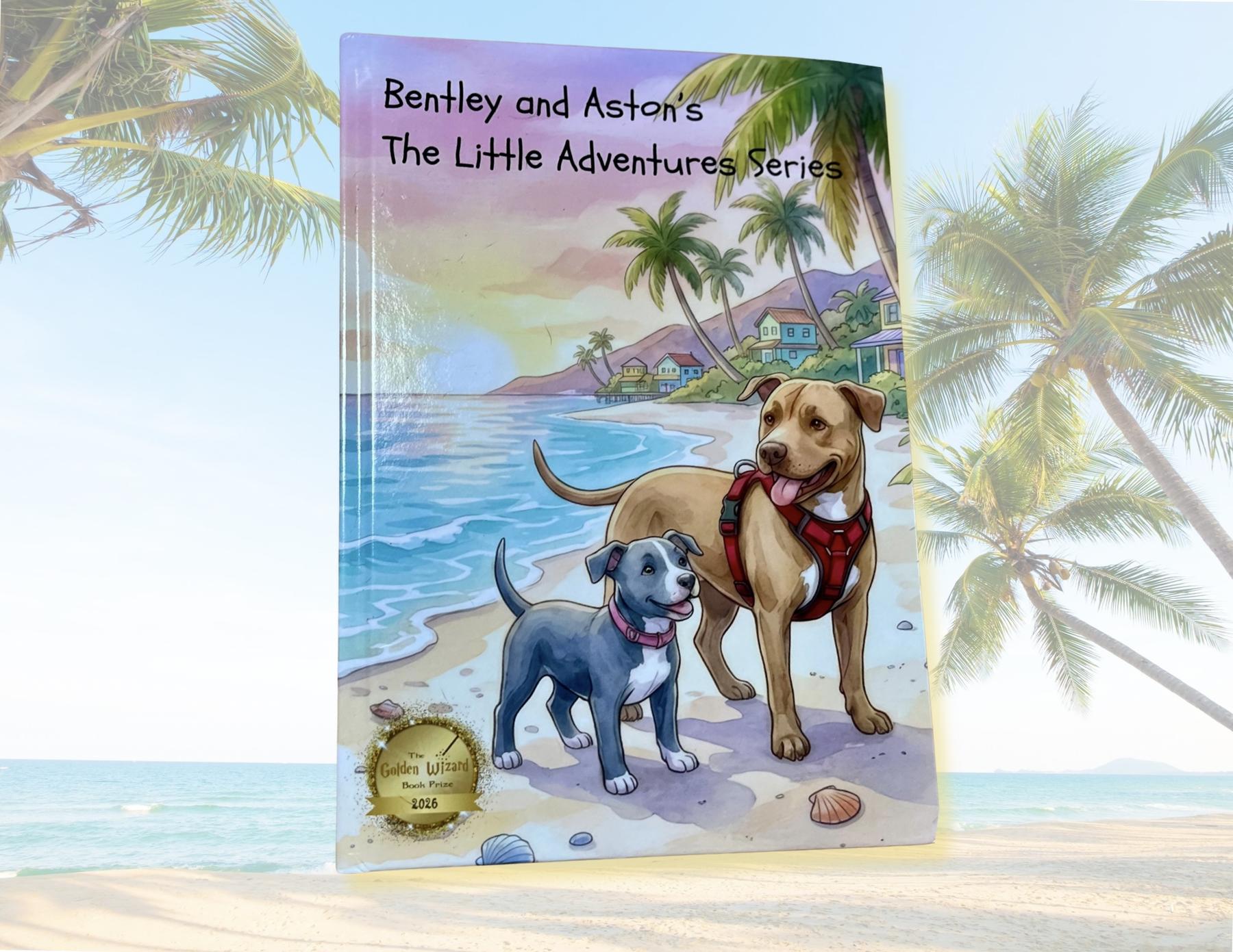 The Little Adventure Series cover